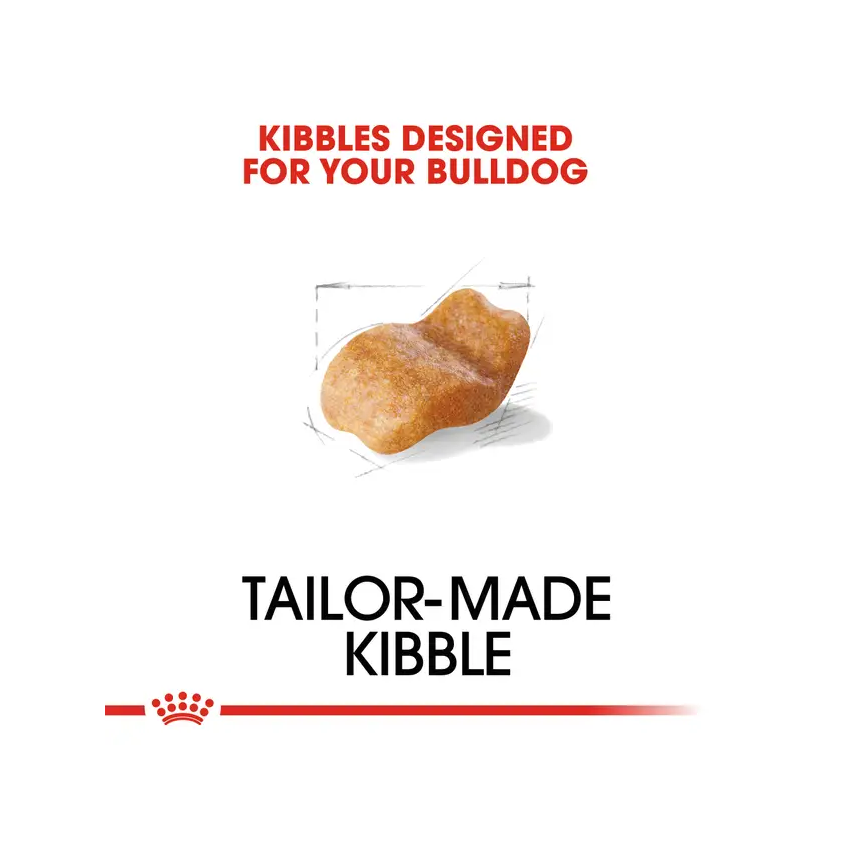 PR ROYAL CANIN BULLDOG ADULTO - Imagen 2