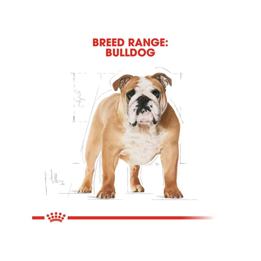 PR ROYAL CANIN BULLDOG ADULTO - Imagen 4