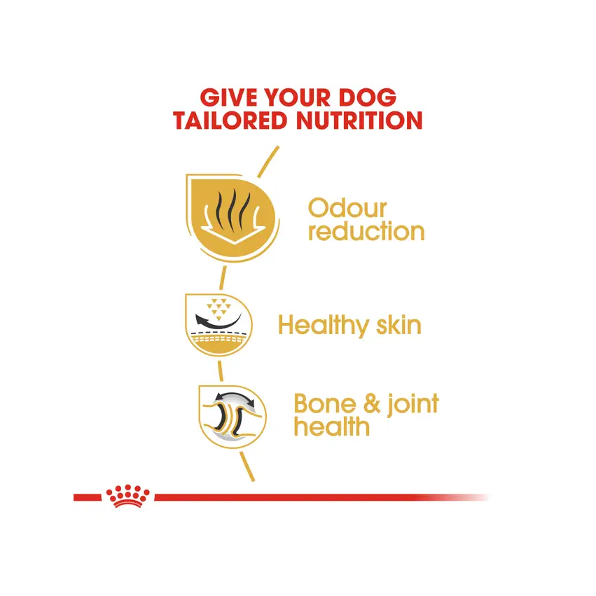 PR ROYAL CANIN BULLDOG ADULTO - Imagen 3