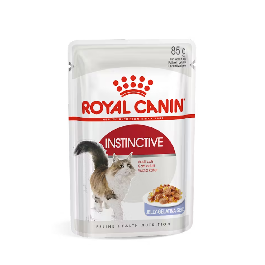 ROYAL CANIN INSTINCTIVE X12_Mesa de trabajo 1