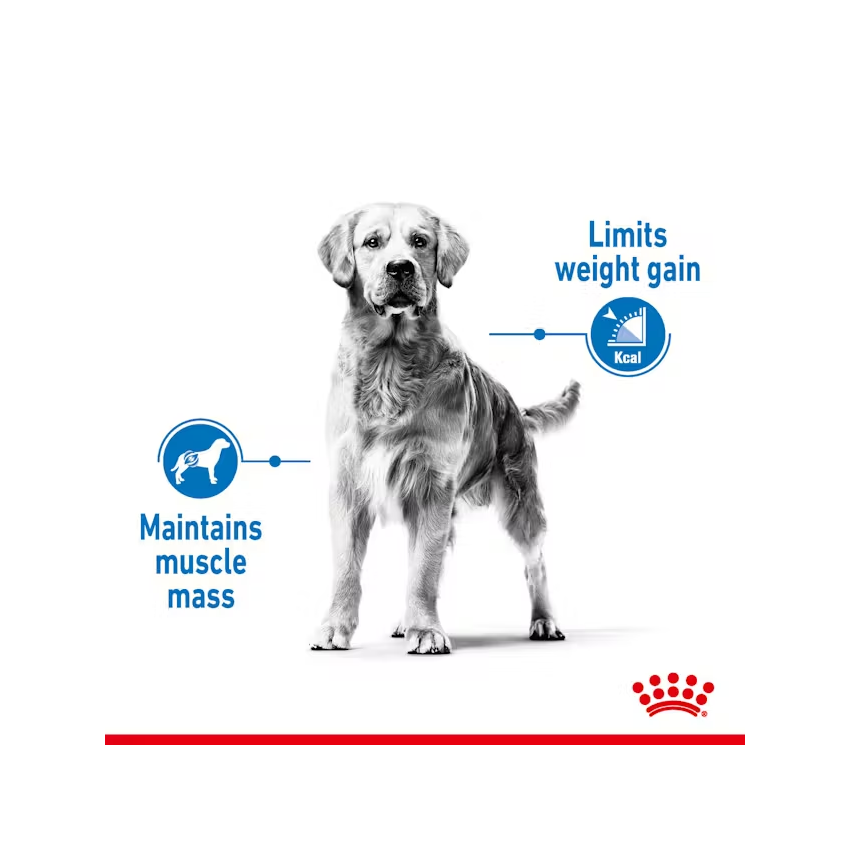 PR ROYAL CANIN MEDIUM LIGHT WEIGHT CARE - Imagen 2