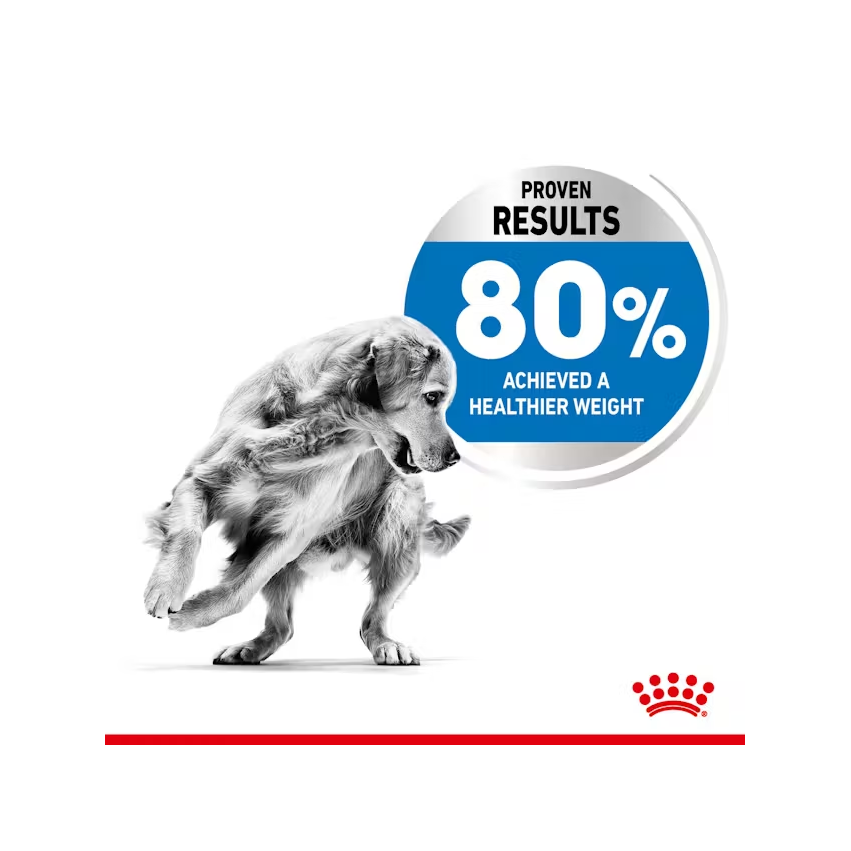 PR ROYAL CANIN MEDIUM LIGHT WEIGHT CARE - Imagen 4